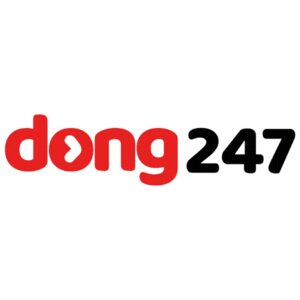 Dong 247