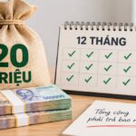 Vay 20 triệu trong 12 tháng tổng cộng phải trả bao nhiêu?